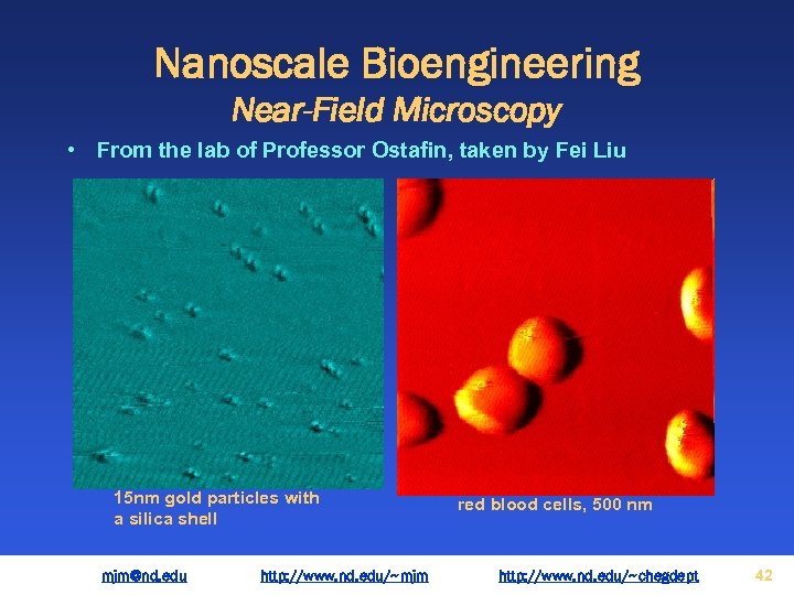 Nanoscale Bioengineering Near-Field Microscopy • From the lab of Professor Ostafin, taken by Fei