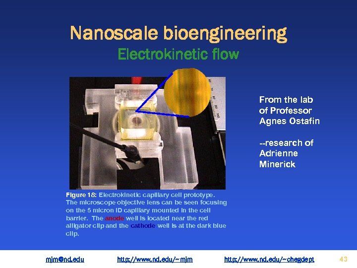 Nanoscale bioengineering Electrokinetic flow From the lab of Professor Agnes Ostafin --research of Adrienne