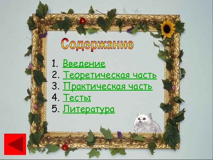 1. Введение 2. Теоретическая часть 3. Практическая часть 4. Тесты 5. Литература 