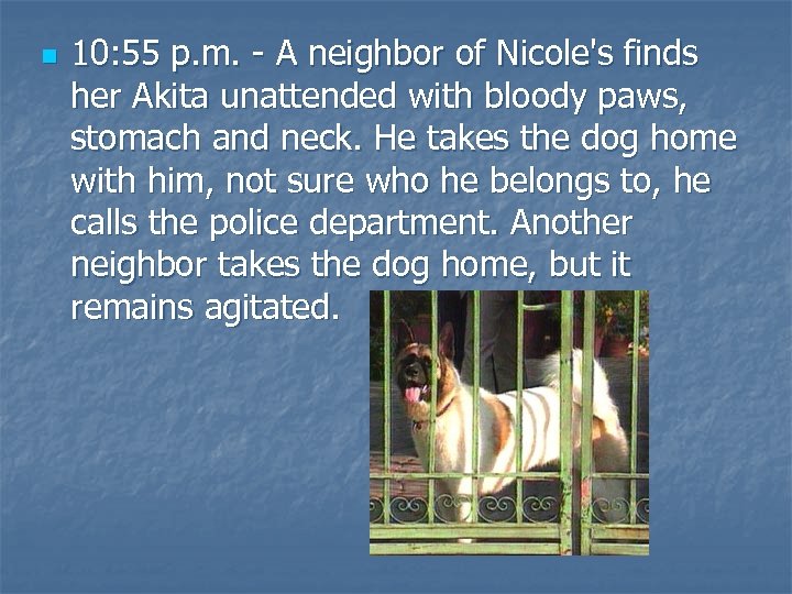 n 10: 55 p. m. - A neighbor of Nicole's finds her Akita unattended