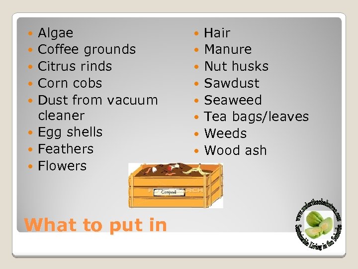  Algae Coffee grounds Citrus rinds Corn cobs Dust from vacuum cleaner Egg shells