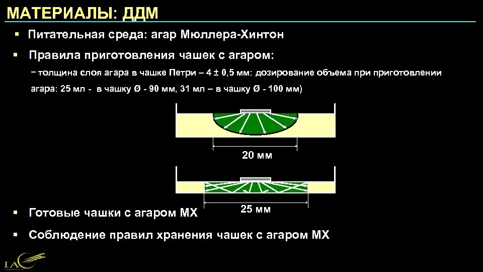 МАТЕРИАЛЫ: ДДМ § Питательная среда: агар Мюллера-Хинтон § Правила приготовления чашек с агаром: −