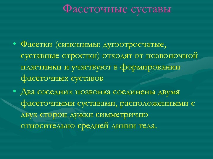 Фасеточные суставы • Фасетки (синонимы: дугоотросчатые, суставные отростки) отходят от позвоночной пластинки и участвуют