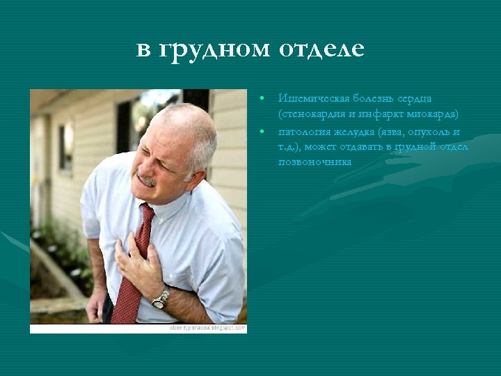 в грудном отделе • • Ишемическая болезнь сердца (стенокардия и инфаркт миокарда) патология желудка