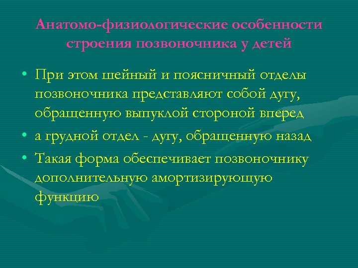 Анатомо-физиологические особенности строения позвоночника у детей • При этом шейный и поясничный отделы позвоночника