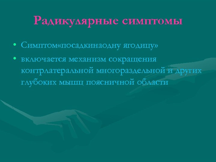 Радикулярные симптомы • Симптом «посадкинаодну ягодицу» • включается механизм сокращения контрлатеральной многораздельной и других