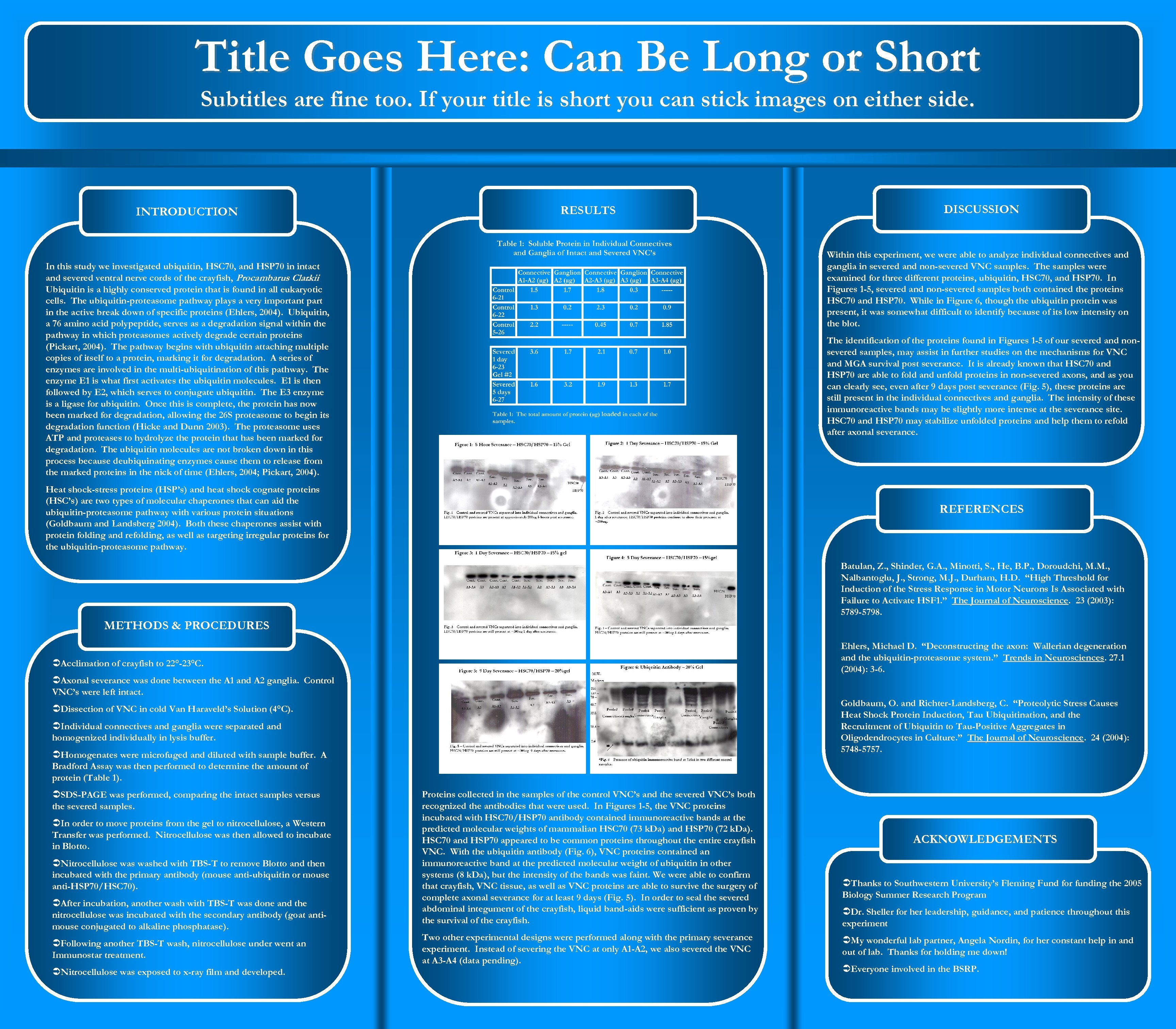 Title Goes Here: Can Be Long or Short Subtitles are fine too. If your