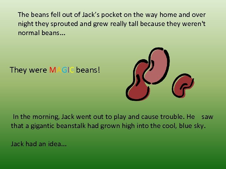 The beans fell out of Jack’s pocket on the way home and over night