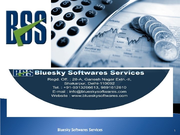 Bluesky Softwares Services 1 