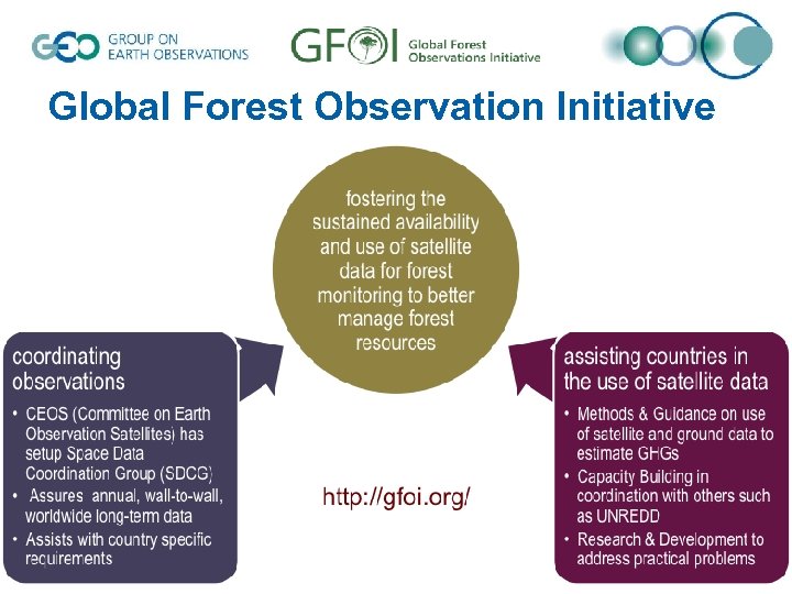 Global Forest Observation Initiative 