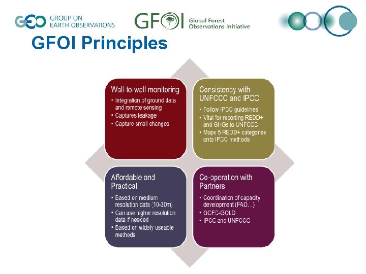 GFOI Principles 