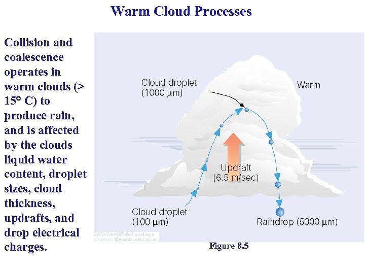 Warm Cloud Processes Collision and coalescence operates in warm clouds (> 15° C) to