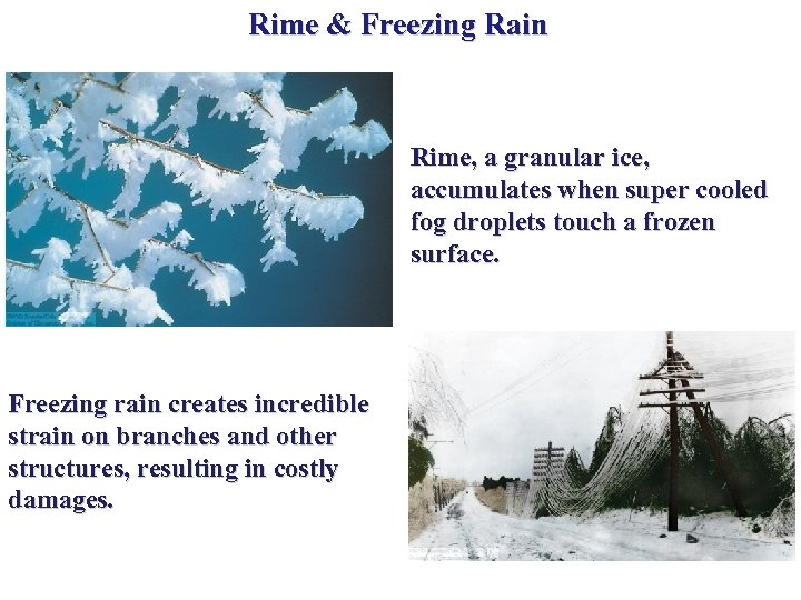 Rime & Freezing Rain Rime, a granular ice, accumulates when super cooled fog droplets