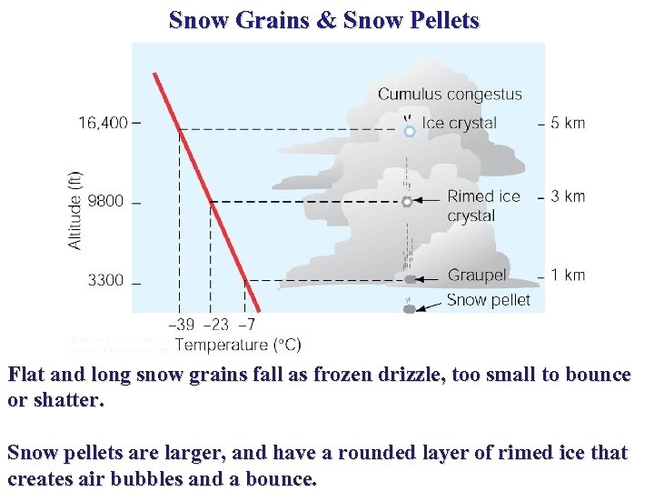 Snow Grains & Snow Pellets Flat and long snow grains fall as frozen drizzle,