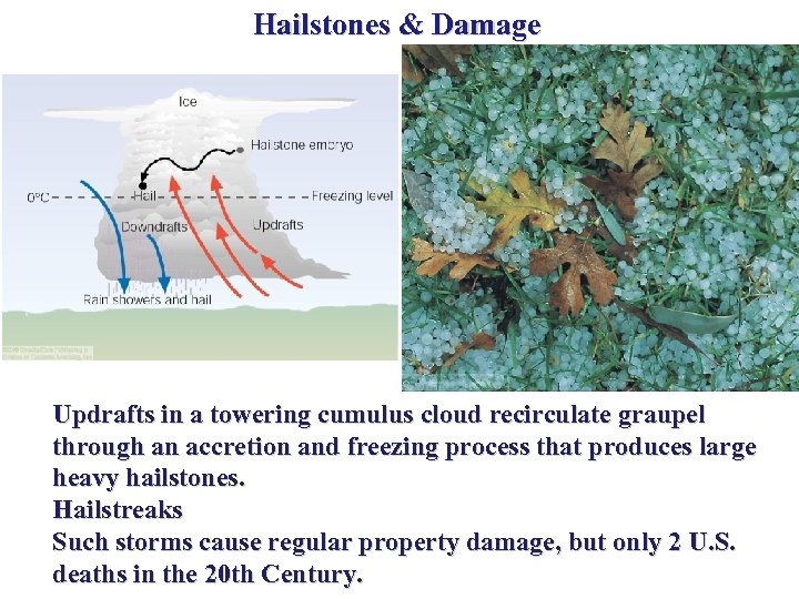 Hailstones & Damage Updrafts in a towering cumulus cloud recirculate graupel through an accretion