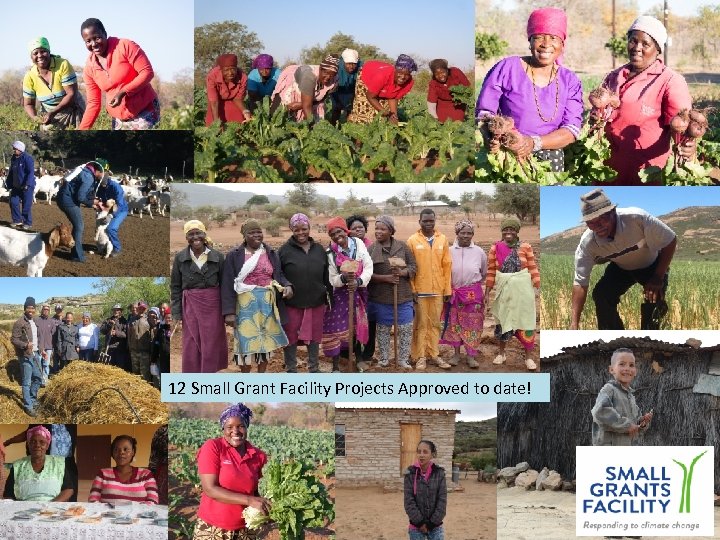 12 Small Grant Facility Projects Approved to date! 