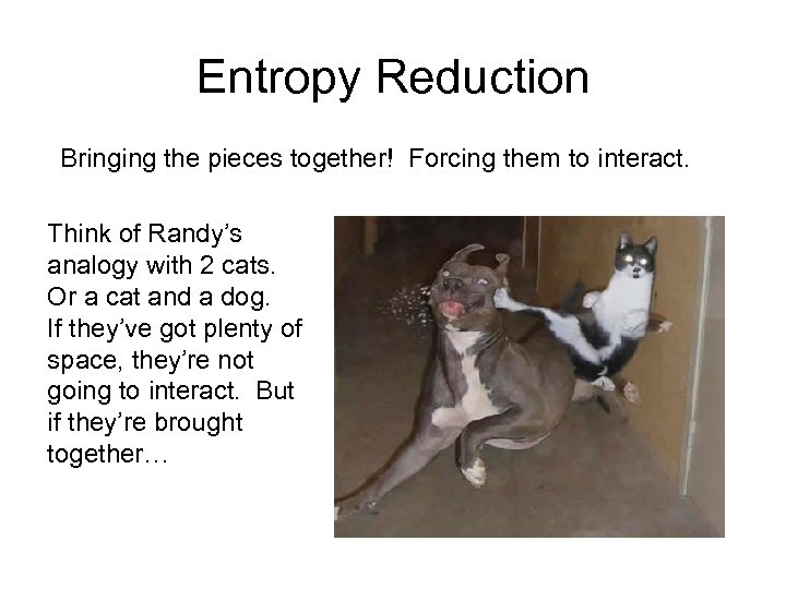 Entropy Reduction Bringing the pieces together! Forcing them to interact. Think of Randy’s analogy