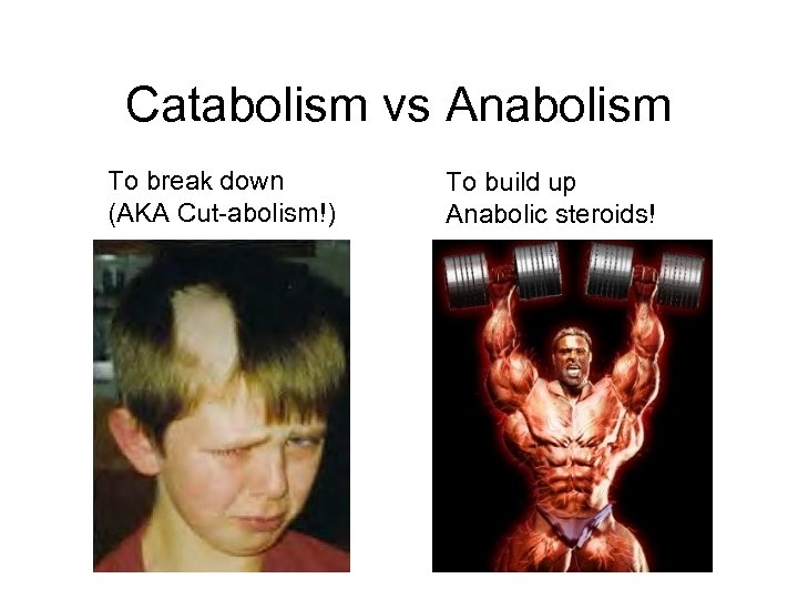 Catabolism vs Anabolism To break down (AKA Cut-abolism!) To build up Anabolic steroids! 