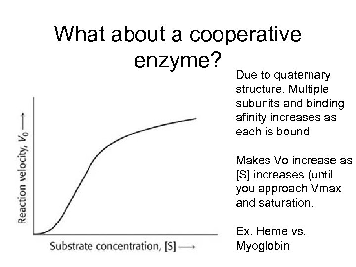 What about a cooperative enzyme? Due to quaternary structure. Multiple subunits and binding afinity
