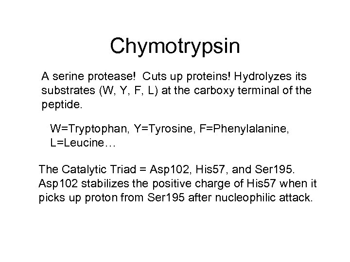 Chymotrypsin A serine protease! Cuts up proteins! Hydrolyzes its substrates (W, Y, F, L)