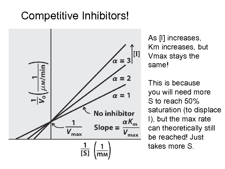 Competitive Inhibitors! As [I] increases, Km increases, but Vmax stays the same! This is