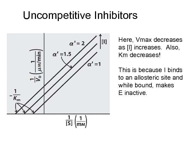Uncompetitive Inhibitors Here, Vmax decreases as [I] increases. Also, Km decreases! This is because