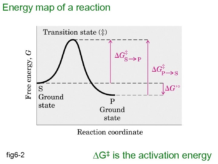 Energy map of a reaction fig 6 -2 DG‡ is the activation energy 
