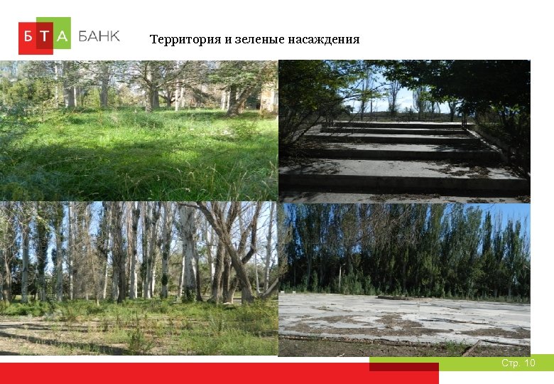 Территория и зеленые насаждения Стр. 10 