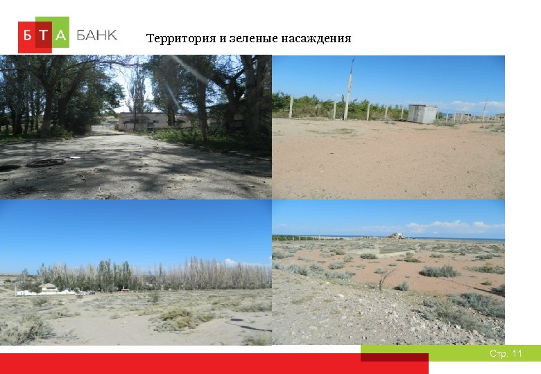 Территория и зеленые насаждения Стр. 11 