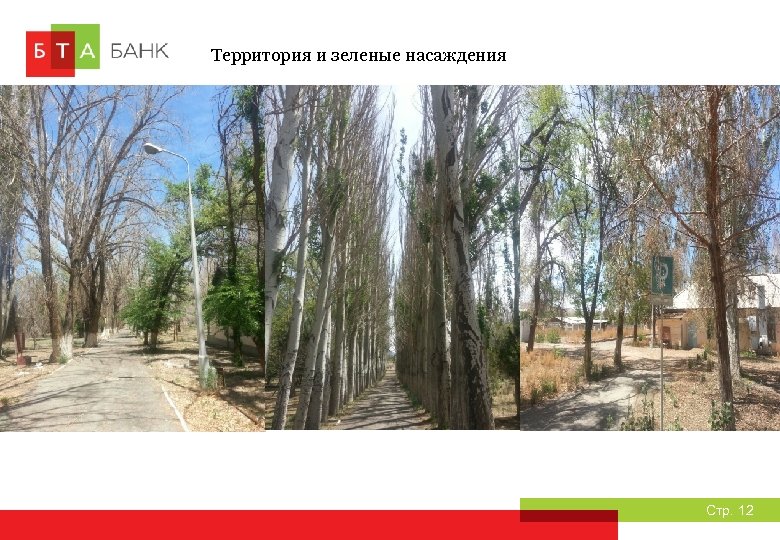 Территория и зеленые насаждения Стр. 12 