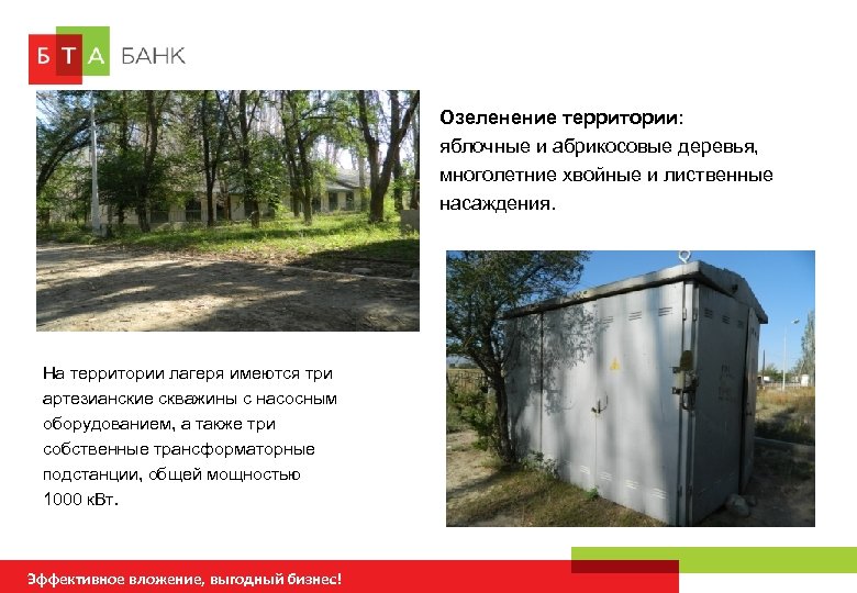 Озеленение территории: яблочные и абрикосовые деревья, многолетние хвойные и лиственные насаждения. На территории лагеря