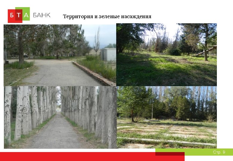 Территория и зеленые насаждения Стр. 9 