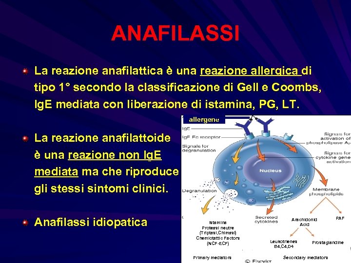 ANAFILASSI La reazione anafilattica è una reazione allergica di tipo 1° secondo la classificazione