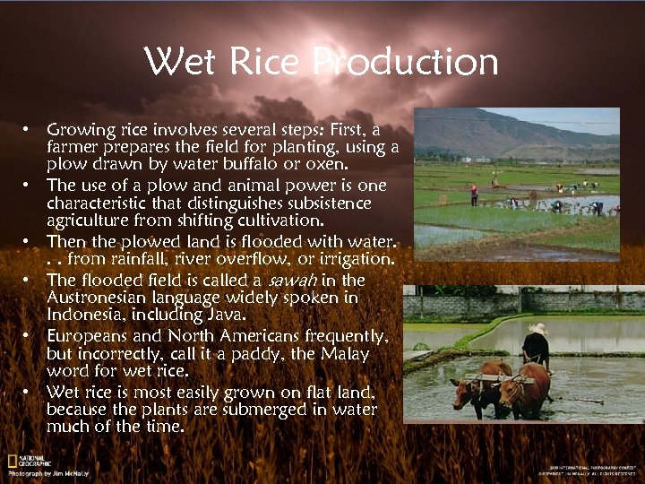 Wet Rice Production • Growing rice involves several steps: First, a farmer prepares the