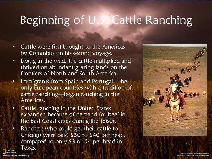 Beginning of U. S. Cattle Ranching • Cattle were first brought to the Americas