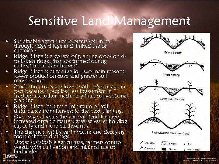 Sensitive Land Management • • Sustainable agriculture protects soil in part through ridge tillage