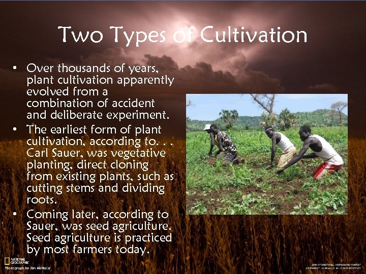 Two Types of Cultivation • Over thousands of years, plant cultivation apparently evolved from