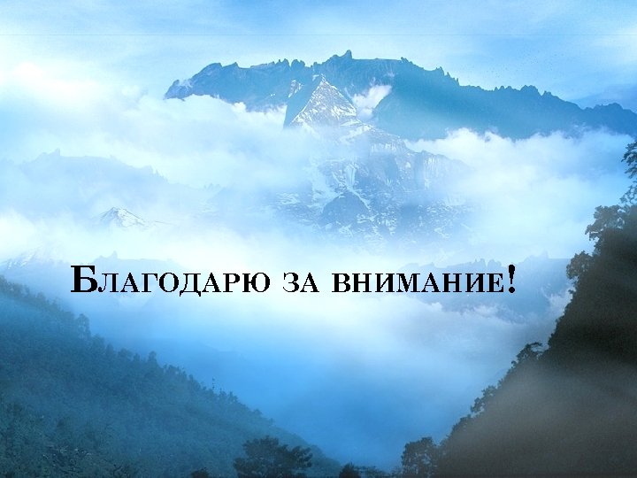 БЛАГОДАРЮ ЗА ВНИМАНИЕ! 