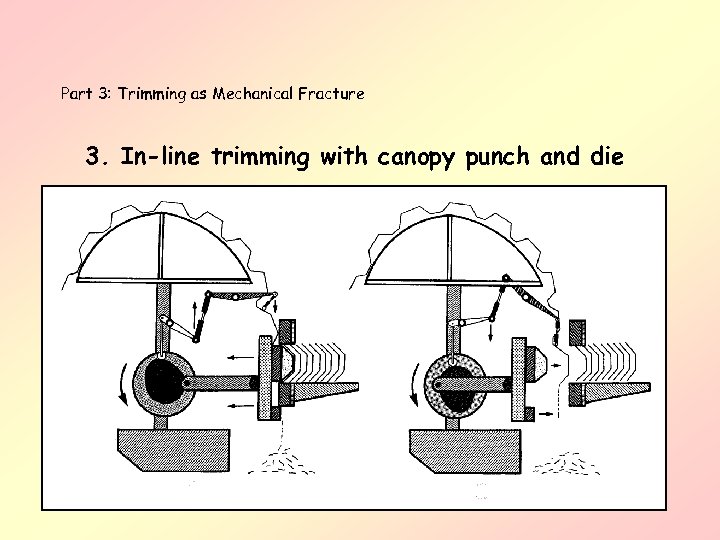 Part 3: Trimming as Mechanical Fracture 3. In-line trimming with canopy punch and die