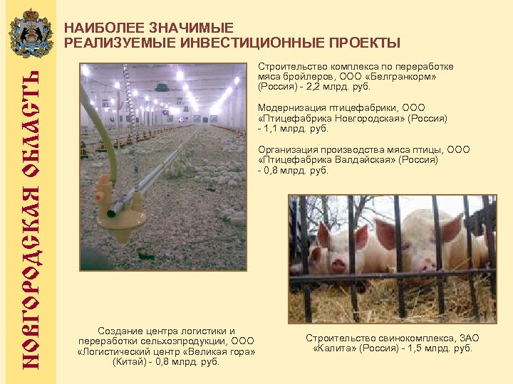 НОВГОРОДСКАЯ ОБЛАСТЬ НАИБОЛЕЕ ЗНАЧИМЫЕ РЕАЛИЗУЕМЫЕ ИНВЕСТИЦИОННЫЕ ПРОЕКТЫ Строительство комплекса по переработке мяса бройлеров, ООО