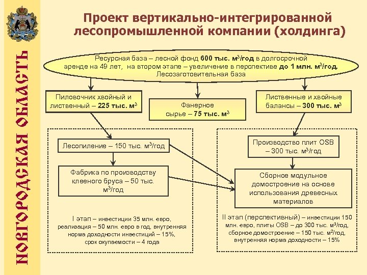 НОВГОРОДСКАЯ ОБЛАСТЬ Проект вертикально-интегрированной лесопромышленной компании (холдинга) Ресурсная база – лесной фонд 600 тыс.