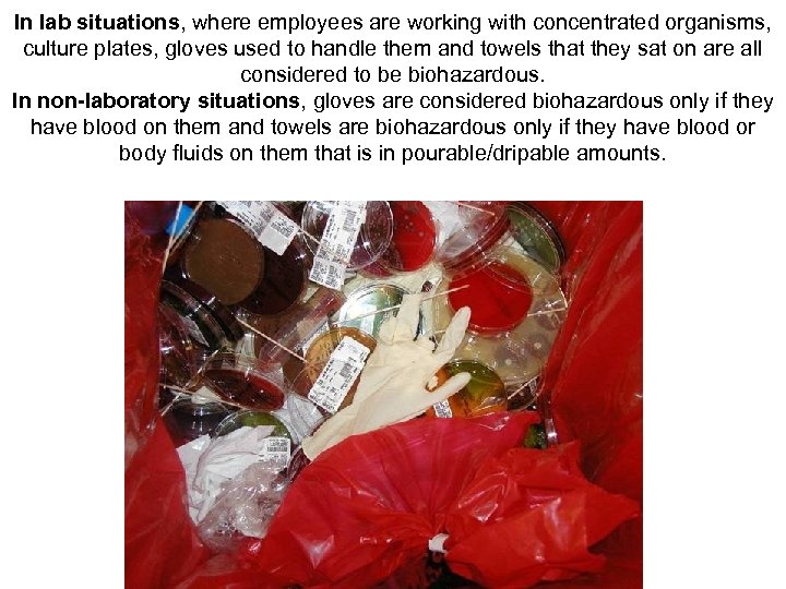 In lab situations, where employees are working with concentrated organisms, culture plates, gloves used