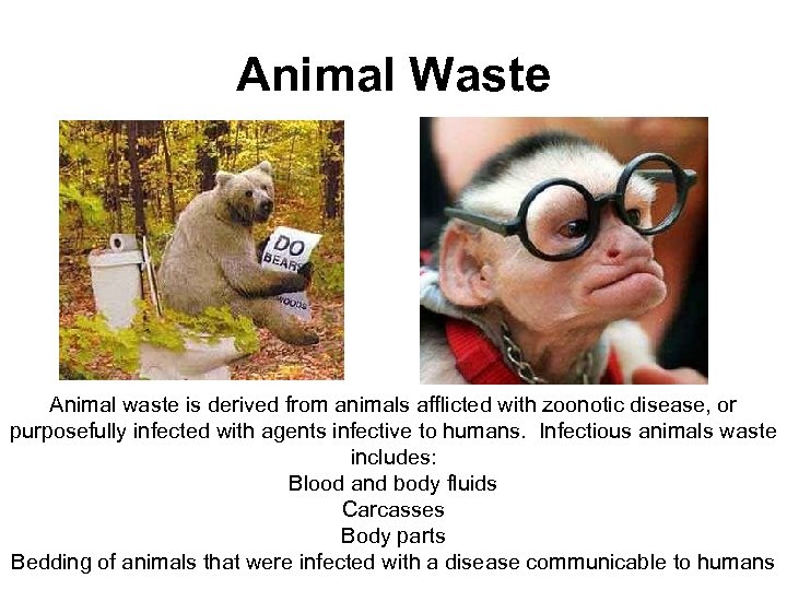 Animal Waste Animal waste is derived from animals afflicted with zoonotic disease, or purposefully