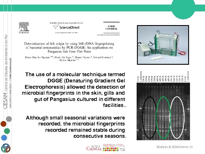 Centro de Estudos do Ambiente e do Mar Laboratório Associado |www. cesam. ua. pt