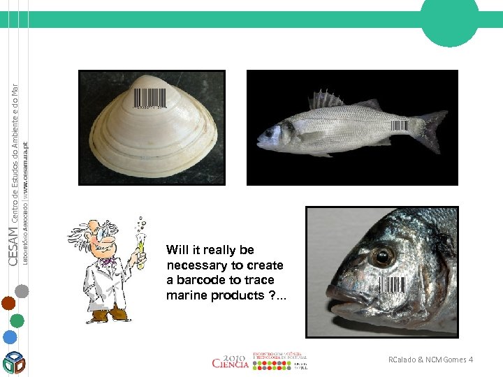 Centro de Estudos do Ambiente e do Mar Laboratório Associado |www. cesam. ua. pt