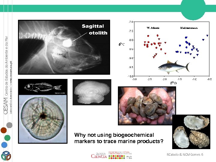 Centro de Estudos do Ambiente e do Mar CESAM Laboratório Associado |www. cesam. ua.