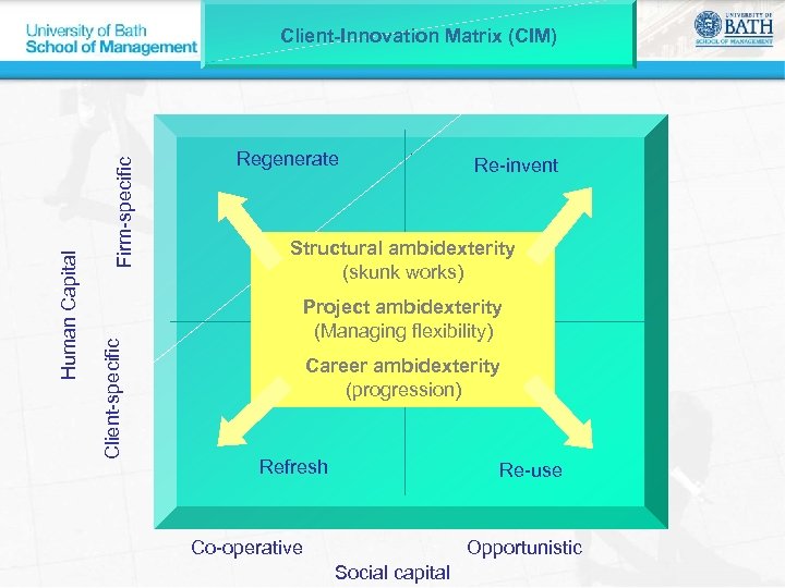 Firm-specific Client-specific Human Capital Client-Innovation Matrix (CIM) Regenerate Re-invent Structural ambidexterity (skunk works) Project
