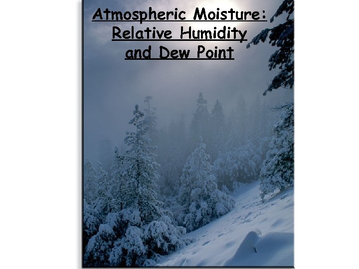 Atmospheric Moisture: Relative Humidity and Dew Point 