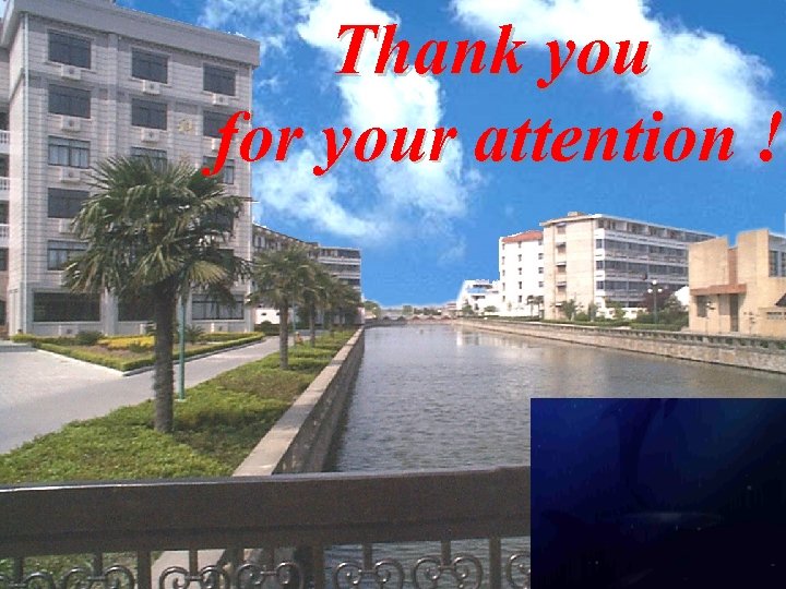 Thank you for your attention ! 