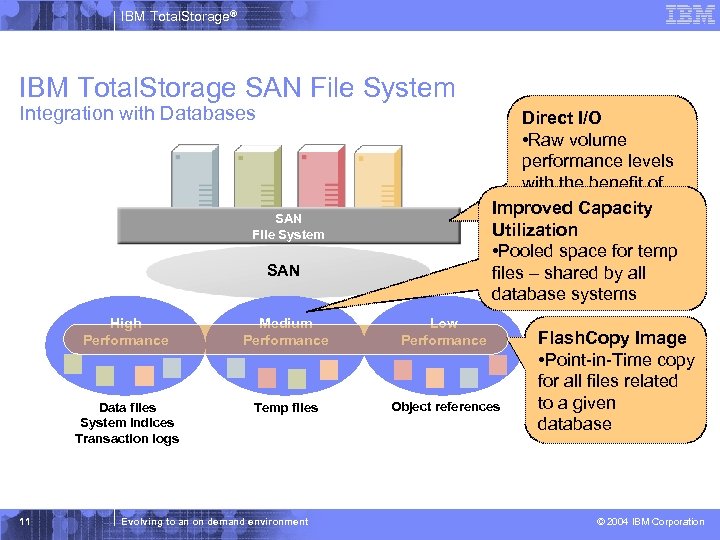 IBM Total. Storage® IBM Total. Storage SAN File System Integration with Databases Direct I/O